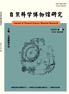 博物馆研究